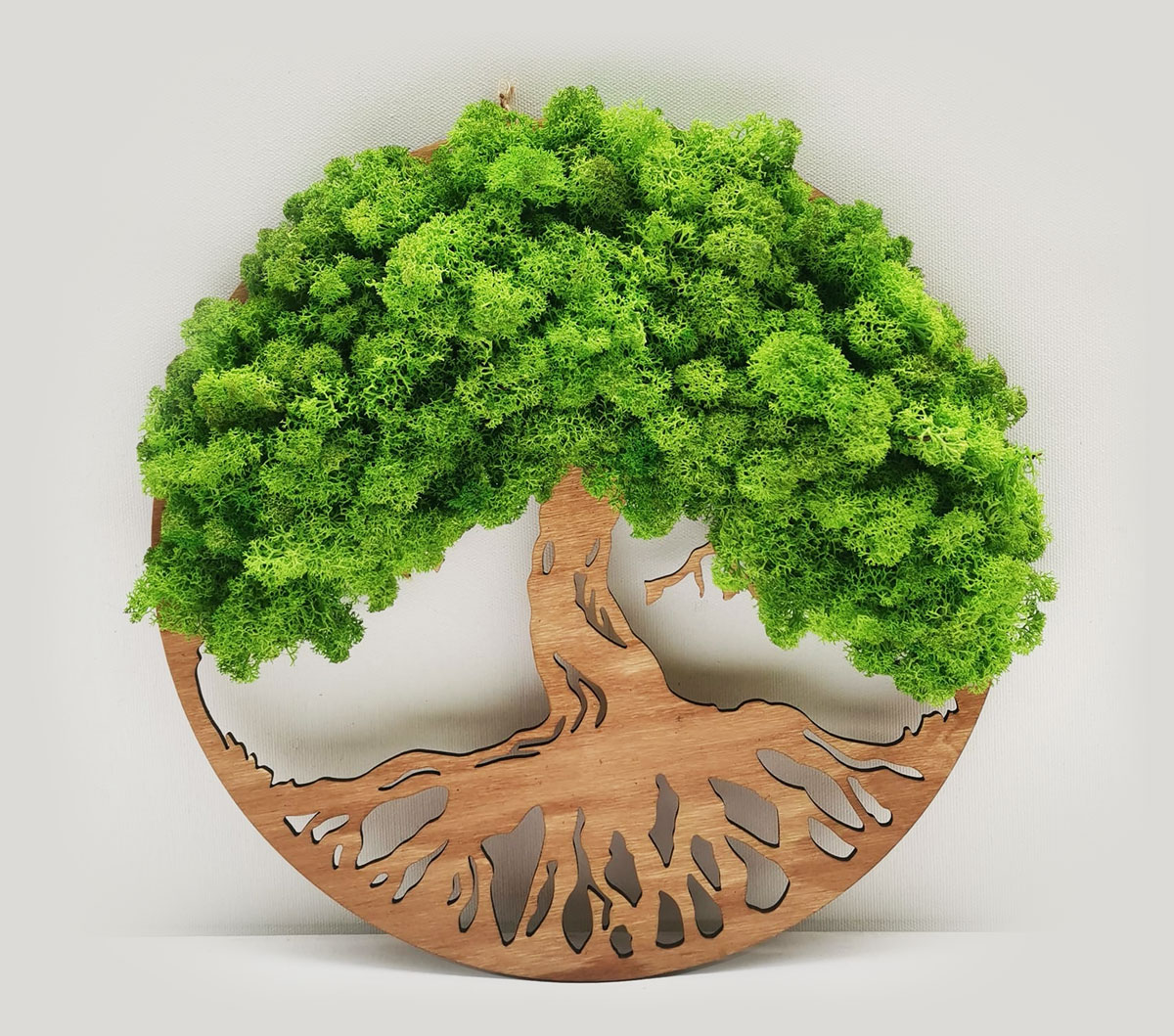 mechový obraz kulatý