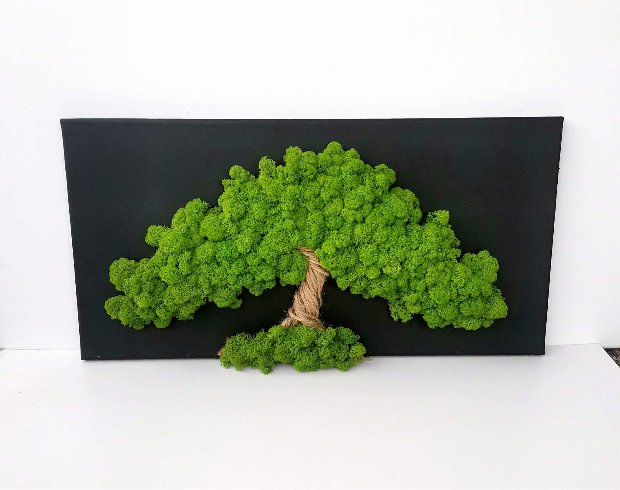 Živý mechový obraz, strom 30x60 - Obrázek 2